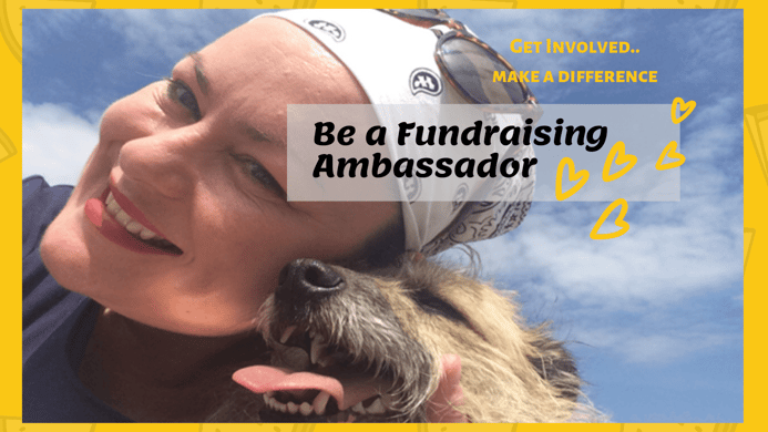 Working for dogs trust shop